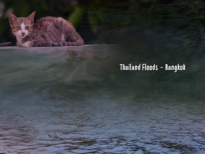 2_Thailand Floods