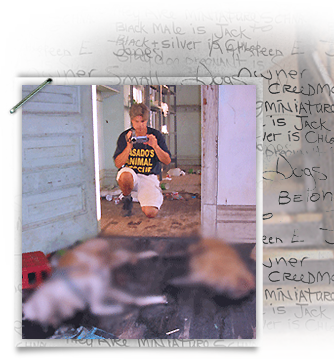 Cruelty investigator Mark Steinway photographs dead dogs in a St. Bernard Parish school after Katrina 334x360