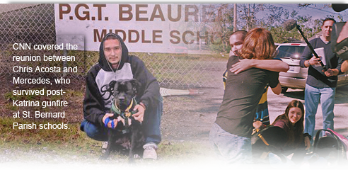 In a St Bernard school where officers slaughtered dozens of companion animals, a dog, Mercedes, is found alive 492x240