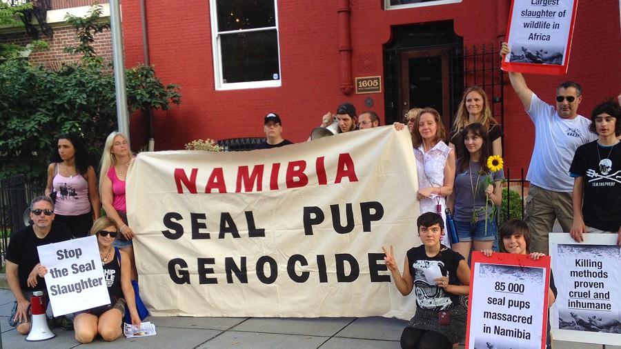 71_namibia-seal-kill-protest-dc