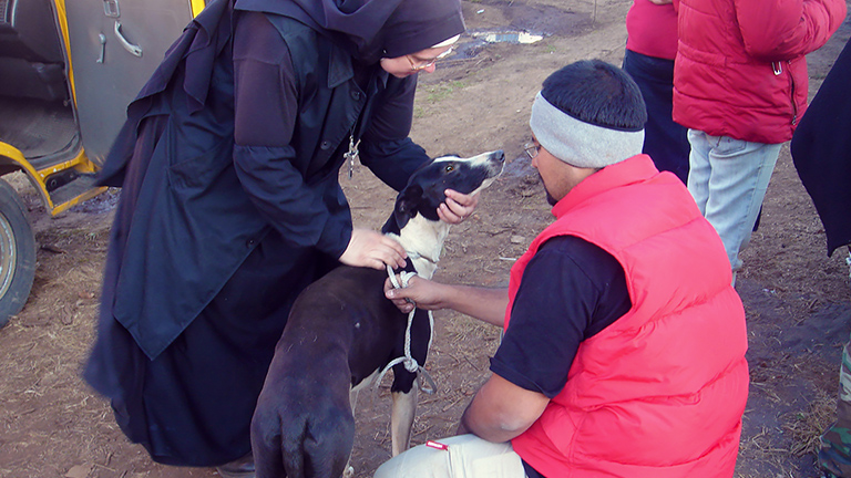 Sister Michael checks injured greyhound, Kinship Circle
