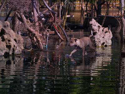 5_Thailand Floods